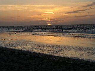 Vakantie aan zee, strand zon en duinen, dat kan op de Wadden Texel, Vlieland, Terschelling, Ameland & Schiermonnikoog