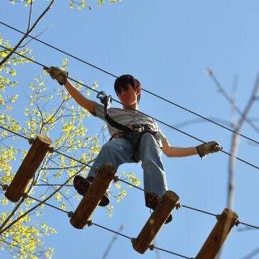 Adventure Awaits Here in the Trees! Come climb today! #visitvabeach #adventure #ziplines