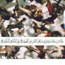 همس الهوء (@0553482879com) Twitter