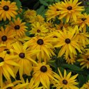 Tonya Bell - @2Wonderfully - Twitter