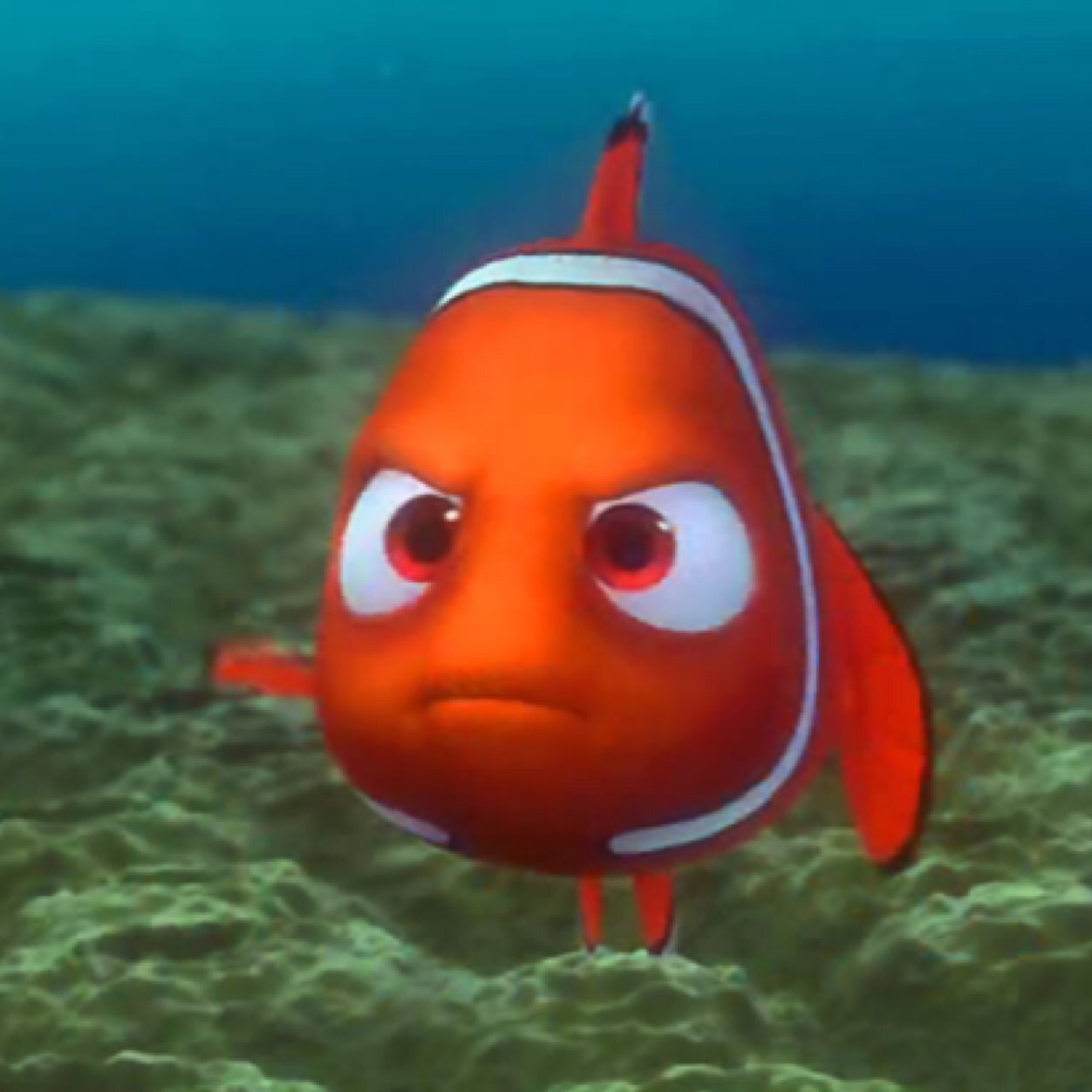 Just keep swimming nigga!