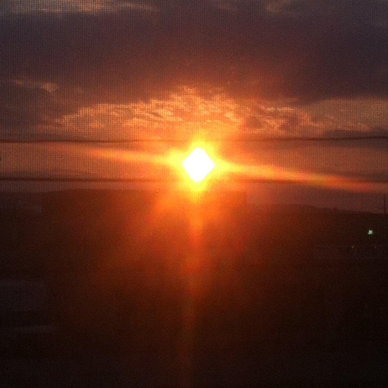 mud_mama's profile picture. 