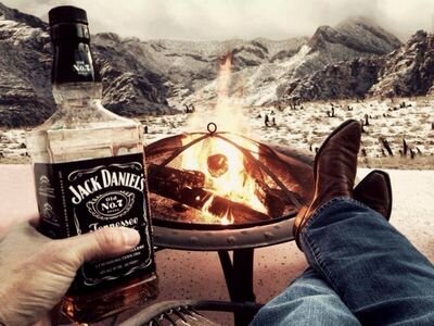 ofortunach's profile picture. 