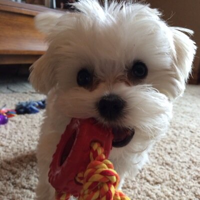 rachel_m_weber's profile picture. 