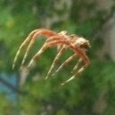 ae_runner's profile picture. 