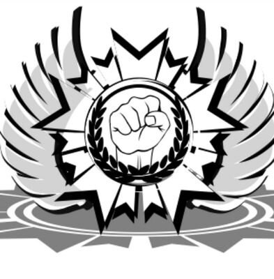 We are a platoon, play to hard and play to win. Join us now. Must have a XBOX 360.