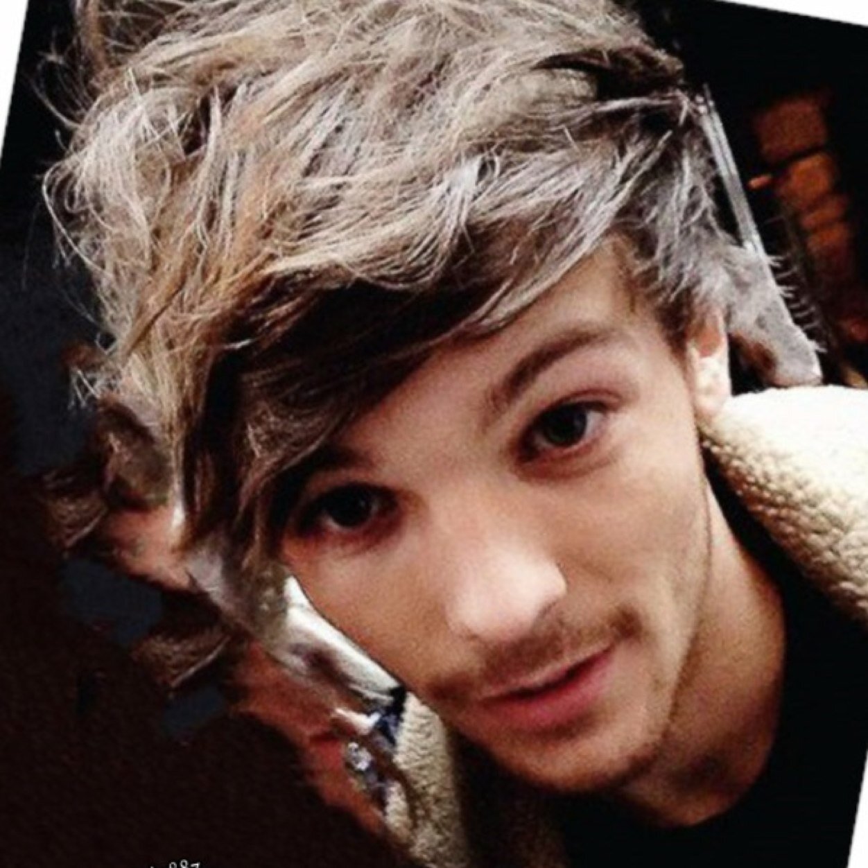 sono gay.