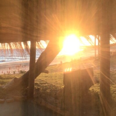 Grachigon's profile picture. 