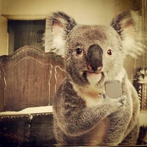 The Aussie Radio Show is hosted by the Aussie Larrikin, Neill Bartlett, reliving Aussie music & memories! No Worries! Now available on iTunes podcasts.