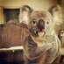 Aussie Radio Show (@aussieradioshow) Twitter profile photo