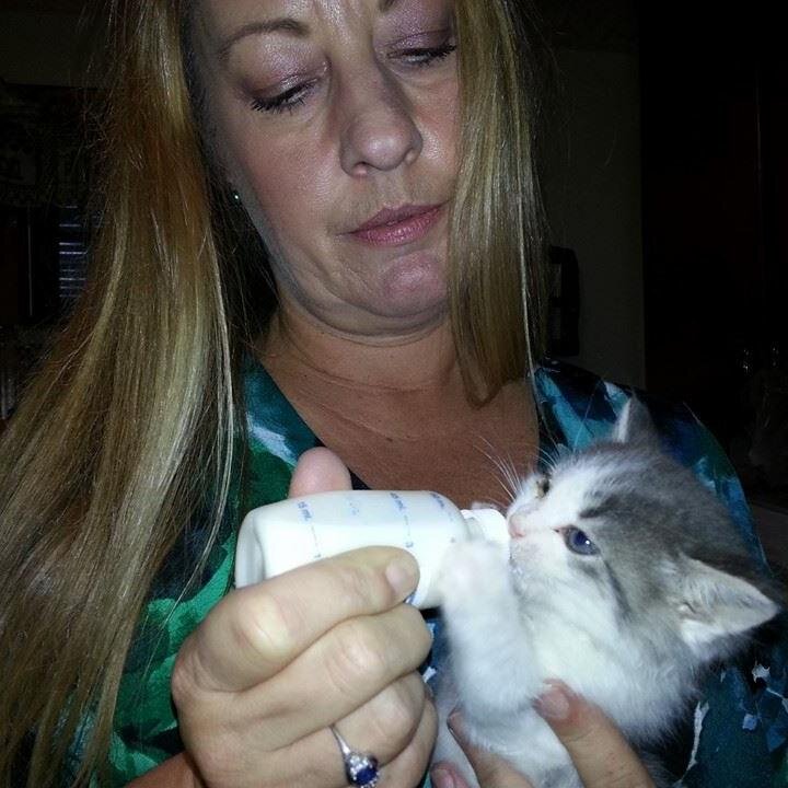 Tayandskyesmom's profile picture. FindandReStore