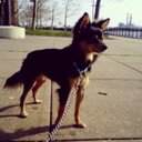 Camille Pena - @camille2003r - Twitter