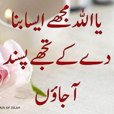 hafiz0070's profile picture. 🌹🖥️❤️🇵🇰