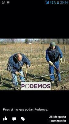 cansado de que haya más tontos que botellines.
