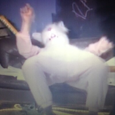 rabbitdancing's profile picture. 