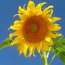 Joanie Bryant - @bryantbuzz - Twitter