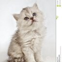 kane miller - @kanemiller622 - Twitter