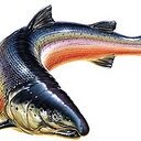 Bob Salmon - @salmonb1 - Twitter