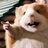 joselitohamster's profile image