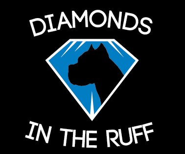 Diamonds in the Ruff Rescue is a 501c3 dog rescue that is a foster-based, all-breed, no-kill animal rescue that offers rescue, training andlove to dogs in need.