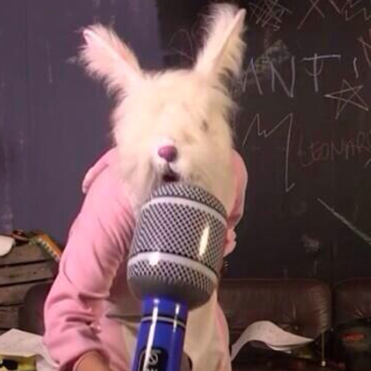 D_Rabbit5SOS's profile picture. 