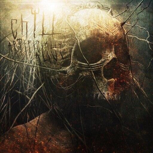 chILL blends catchy grunge driven rock and modern metal with a twist. chILL is something entirely different...hate it or love it, just try to keep an open mind.