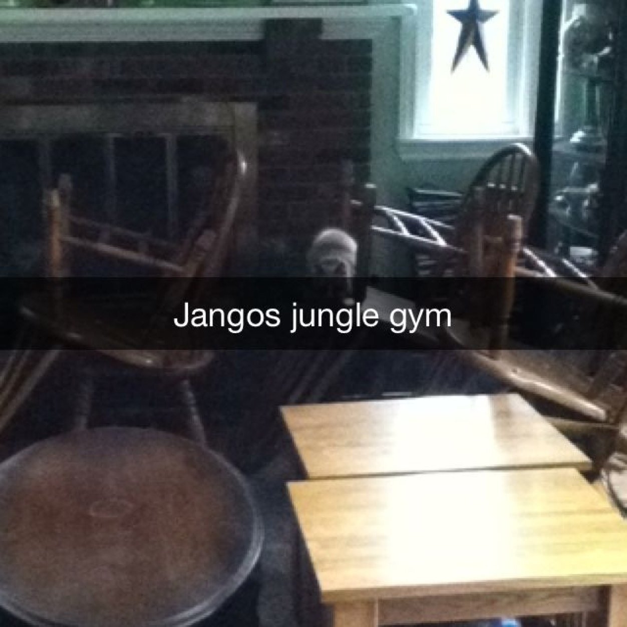 pete00268380's profile picture. das