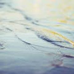 bella998bella's profile picture. 