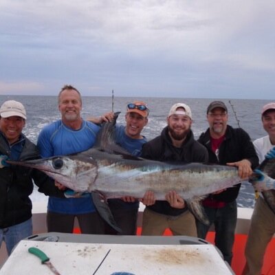 Pete_Torcicollo's profile picture. Lawyer, Fisherman, Musician, Rock Climber.