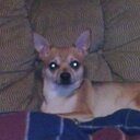 Anna Hoover - @annhoover123 - Twitter