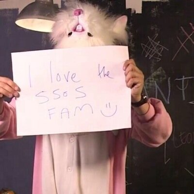 dancinrabit5sos's profile picture. I shook my ass in front of 147,000 people                                                        - @mysunshineniall -