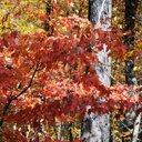 Anne - @AnneKenneth27 - Twitter