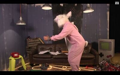 5sospinkrabbit's profile picture. the world will never know who i am
// i like dancing with my friend gorilla