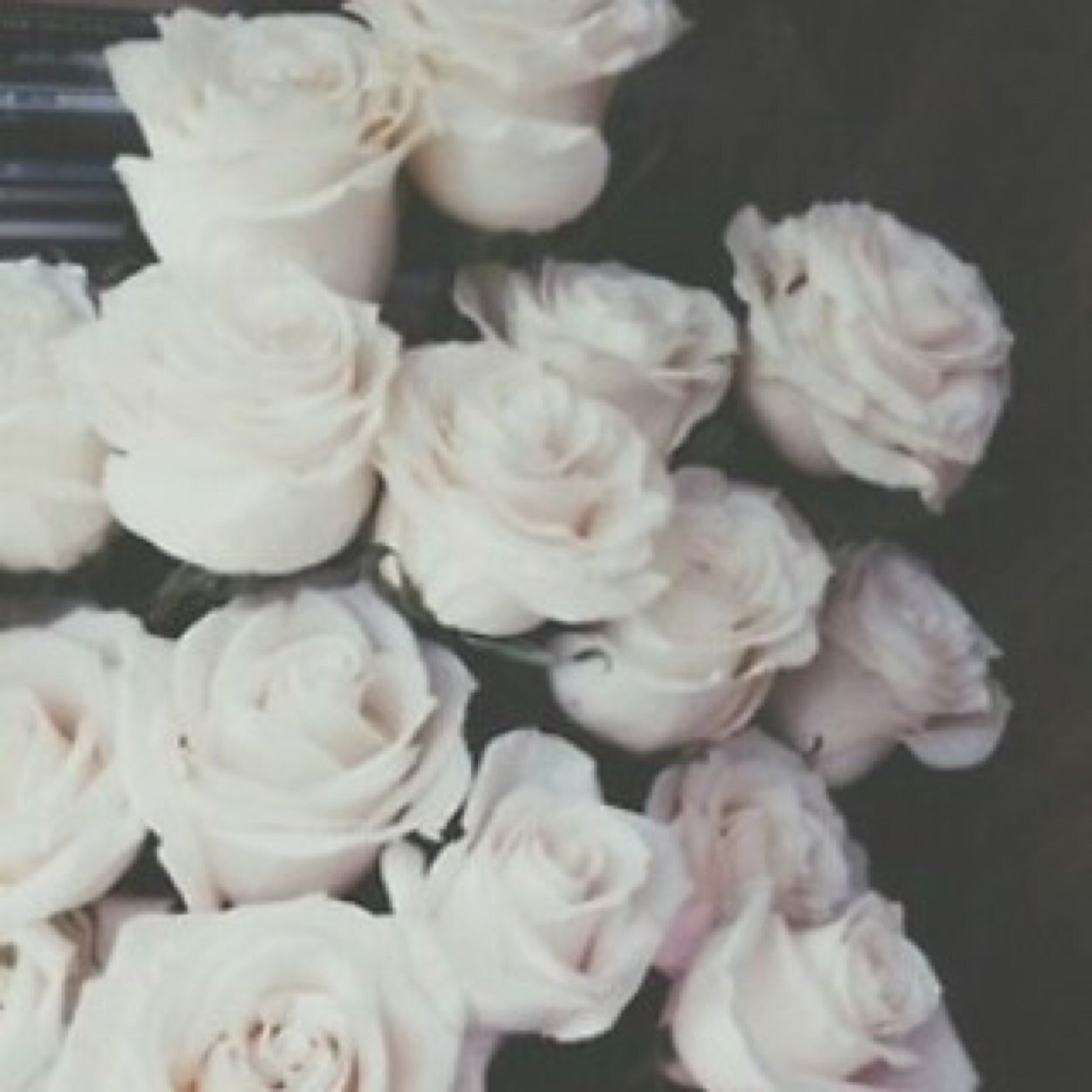 ليس گل ھٱدئ . ( خٱلي ٱلبٱل ) ف ' في آلھدوء ٱلف حگآيہَ'ة وحگآيہ ♡' فولو ع الحسآب ثثاني @meryaaam1919