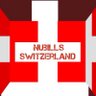 NuBills_ch's profile picture. | Virtuelle (Belohnungen) Geld, E-Rechnung, lokalen und internationalen Zahlungserleichterung, Asset vollständig geschützt | #nubills #virtualmoney |