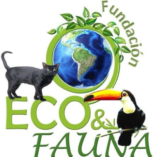 Fundación Ecológica Integral y de Protección a la Fauna.                   
Facebook:Eco & Fauna  / 0414-2582443