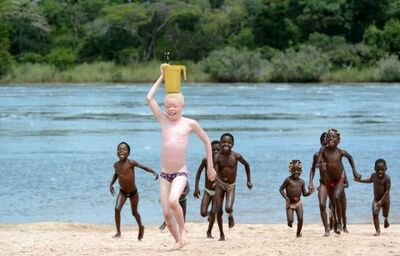 saatwi's profile picture. Social Entrepreneur. Digital Artist & eLearning Author