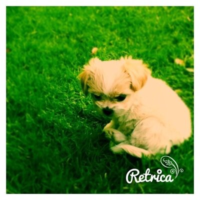 MarieScir's profile picture. 