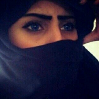 U_banih's profile picture. .