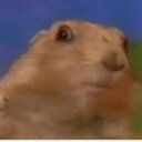 Lane Boyd - @HeteroHomoHarto - Twitter