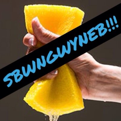 Blynyddoedd 7,8 a 9, gwlychwch athro! Dewch i'n stondin yn y ffair haf ar y 16eg o Orffenaf i daflu sbyngau gwlyb at wynebau rhai o athrawon enwocaf plasmawr!