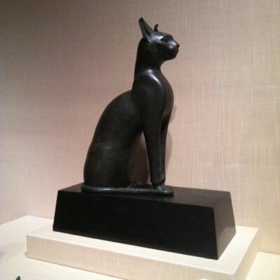 MelissReed's profile picture. 