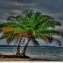 otaibi_f1's profile picture. أعطني إعلام بلا ضمير أعطيك شعب بلا وعي.......... جوزيف جوبلز