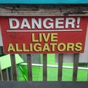 Benjamin LaFever - @Ben_ja_min - Twitter