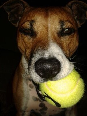 gongwichien's profile picture. 