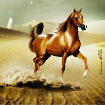 ‏‏احساس شاعر