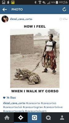 FJOliveras's profile picture. 