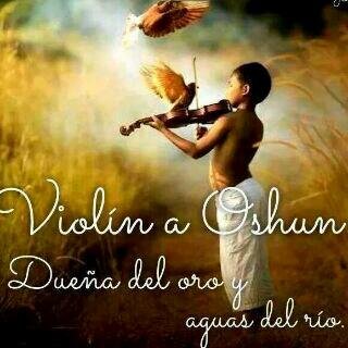 Ofresco mis Servicios de Violin a Oshun, Numero de Contacto 0412-1629847 - 04247146764 - Pin:5C230113 - Mail: violinoshun@gmail.com...Barquisimeto - Estado Lara