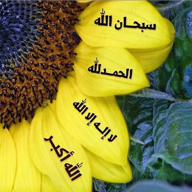 اخت الرجال ..أستاذة لغة عربية-أعيش بروحي فـِ♡ـيےْ ذاك الزمن الجميل وذكرياته التي لاتفارقني *عائشة رضي الله عنها قدوتي *