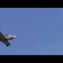 Anthony Linares - @anthony102885 - Twitter